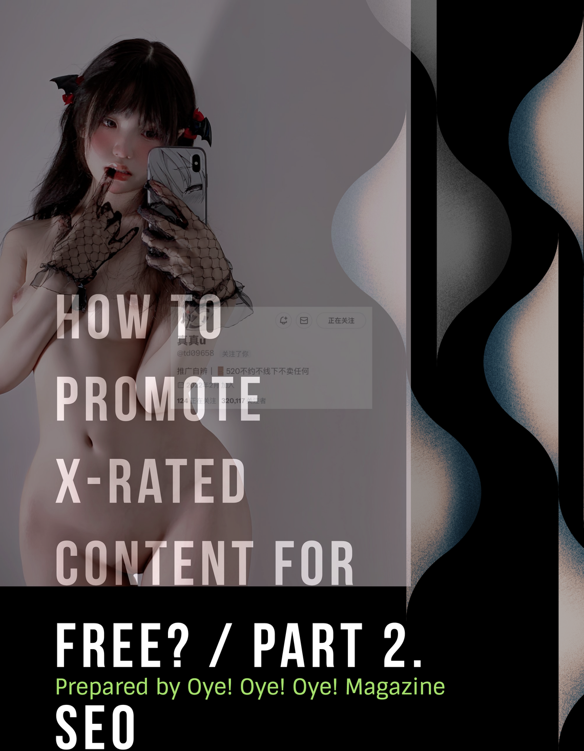 How To Promote X-rated Content For Free / Part 2. SEO